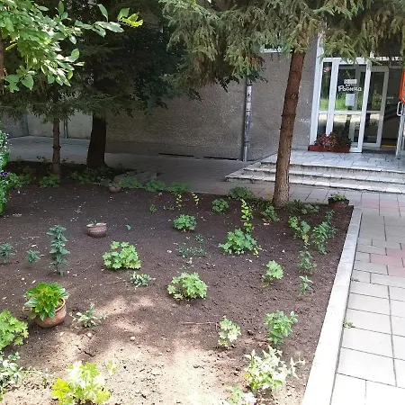 酒店 罗斯查酒店