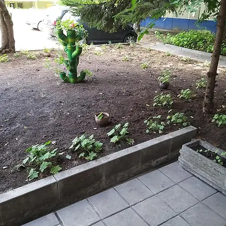 罗斯查酒店 酒店 *